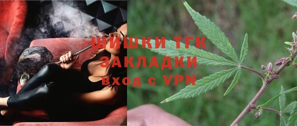 гашик Медногорск