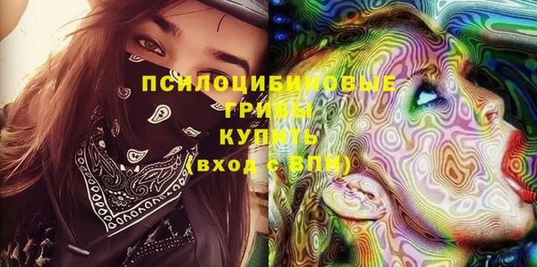 гашик Медногорск
