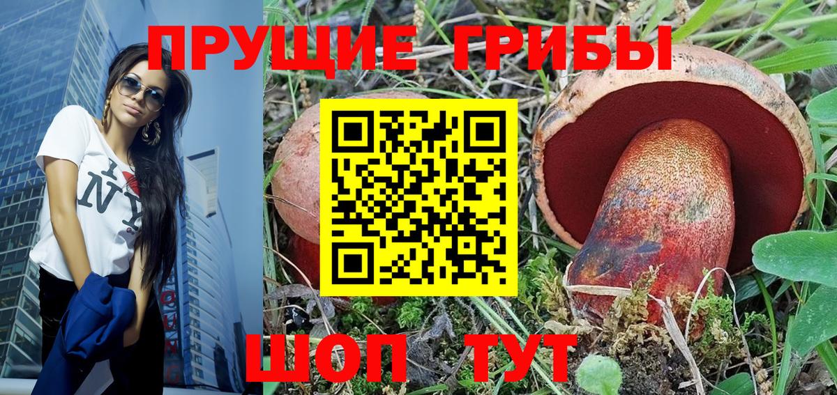 магазин продажи наркотиков  Красноармейск  Галлюциногенные грибы Psilocybine cubensis 