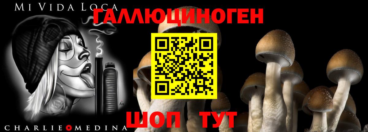 Красноармейск  Галлюциногенные грибы мухоморы  цены   Вход с VPN 